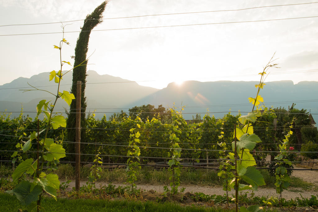 Ferienwohnung Pippohof Appiano Sulla Strada Del Vino Δωμάτιο φωτογραφία